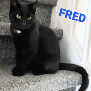ID Fred kater