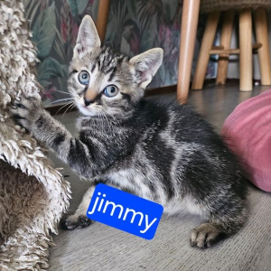 WH-Jimmy-kater