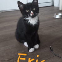IS Eric kater