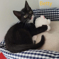 MH Betty poes