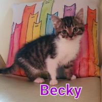 AR Becky poes
