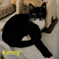 MH Kenny kater